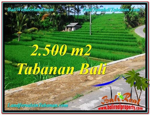 DIJUAL MURAH TANAH di TABANAN BALI 2,500 m2 di Tabanan Penebel