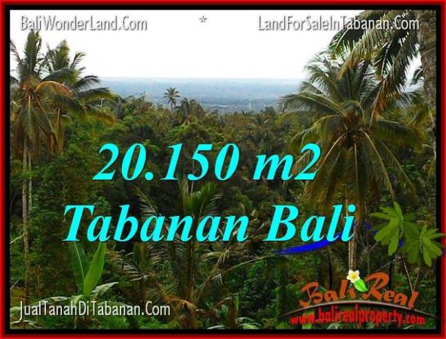 TANAH DIJUAL di TABANAN 201.5 Are View Laut dan Gunung