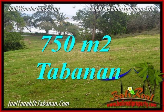 JUAL TANAH di TABANAN BALI TJTB346