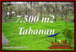INVESTASI PROPERTY, TANAH MURAH di TABANAN BALI TJTB390